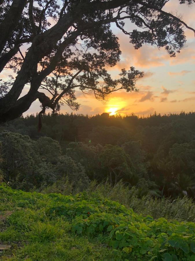 Muriwai Lodge Εξωτερικό φωτογραφία