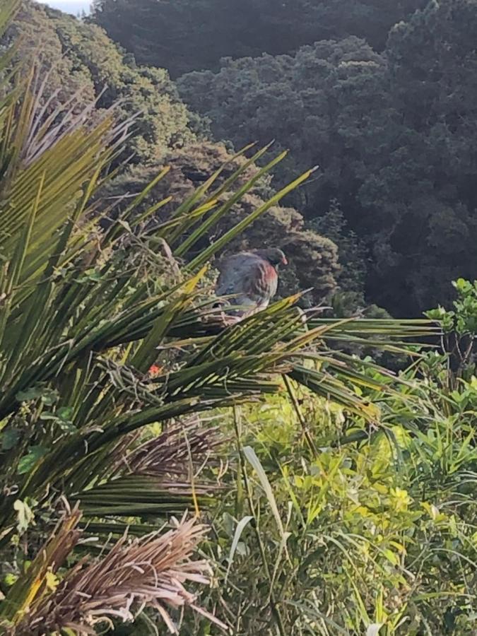 Muriwai Lodge Εξωτερικό φωτογραφία
